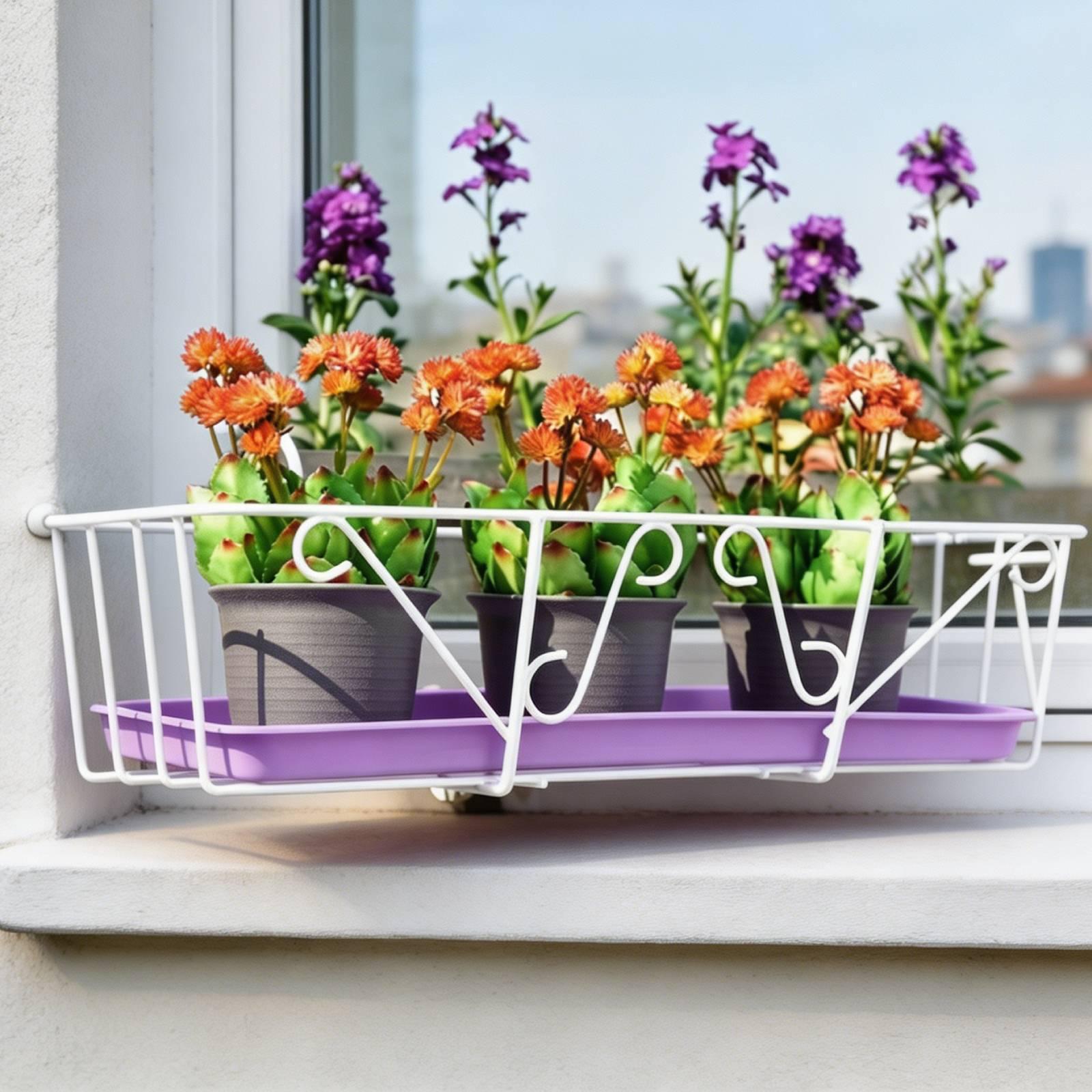 Plant Drain Saucers Multipurpo - Drip Tray Saucer บทวิจารณ์และราคา