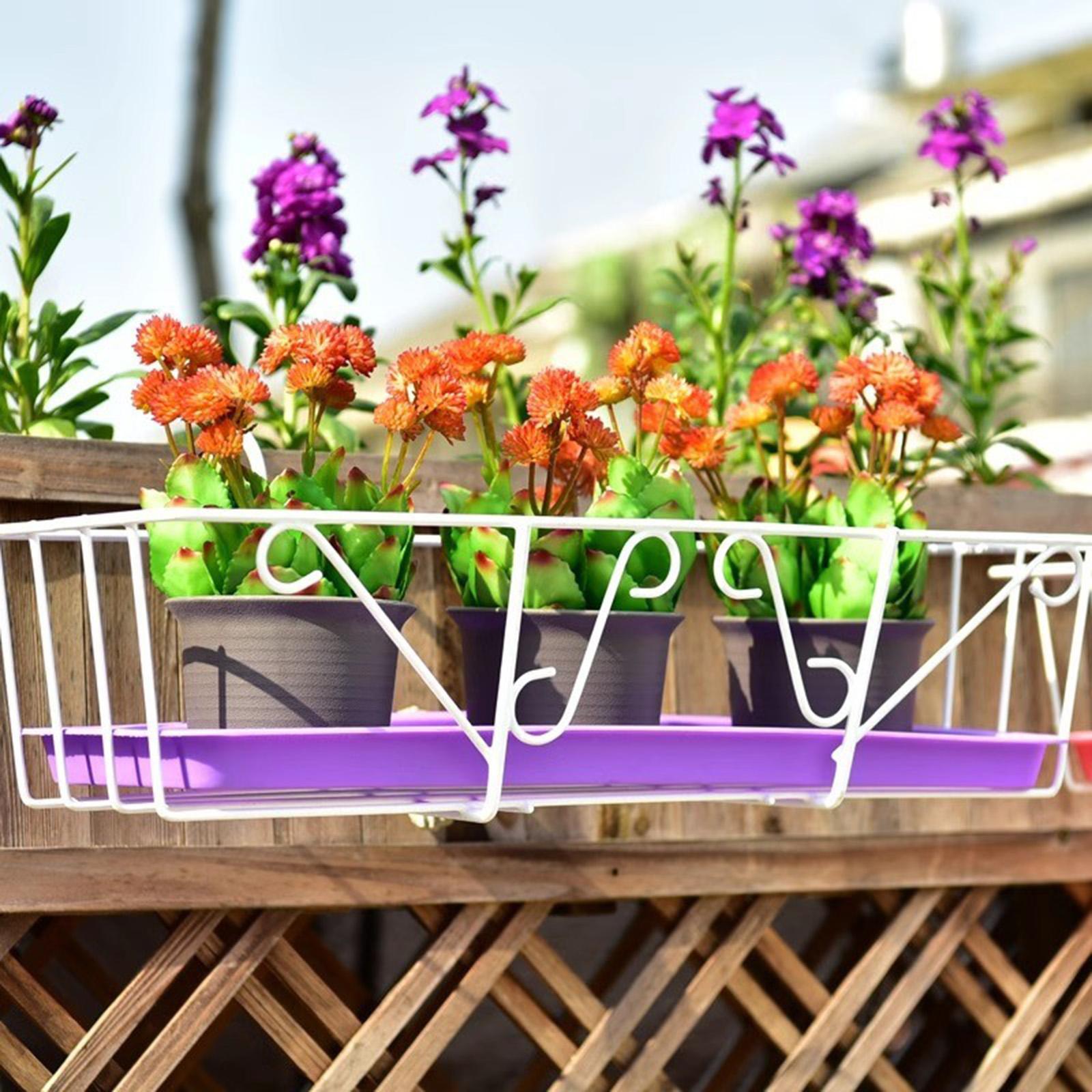 Plant Drain Saucers Multipurpo - Drip Tray Saucer บทวิจารณ์และราคา