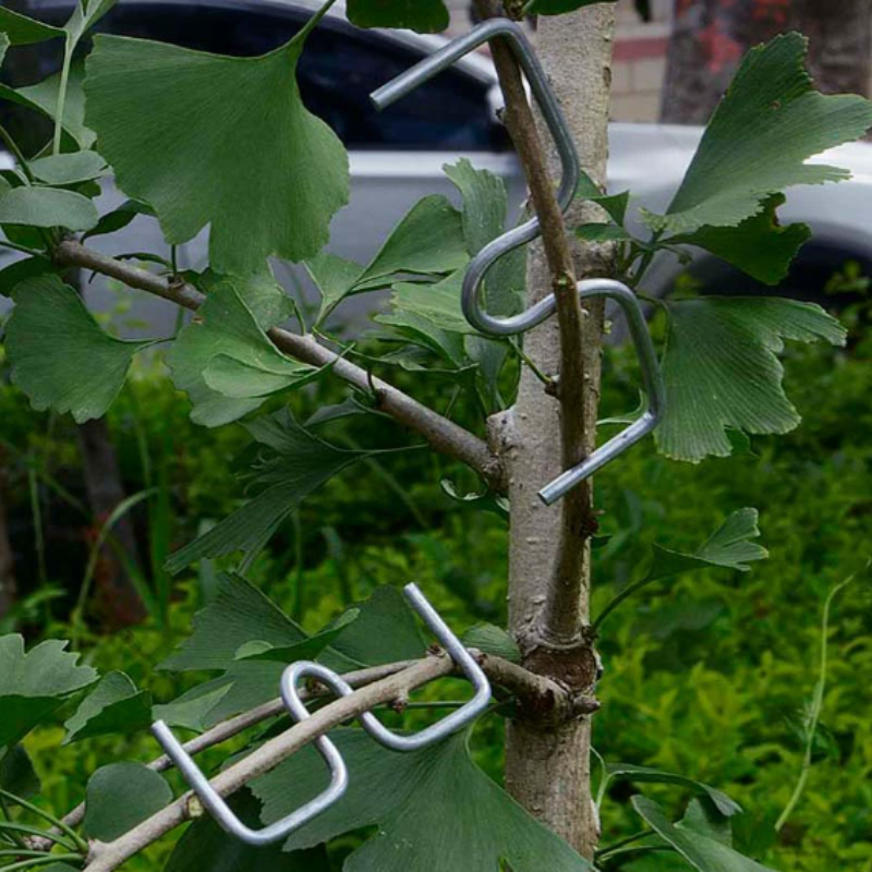 50pcsFruit Tree Branch Bender  - Concave Branch Cutter บทวิจารณ์และราคา