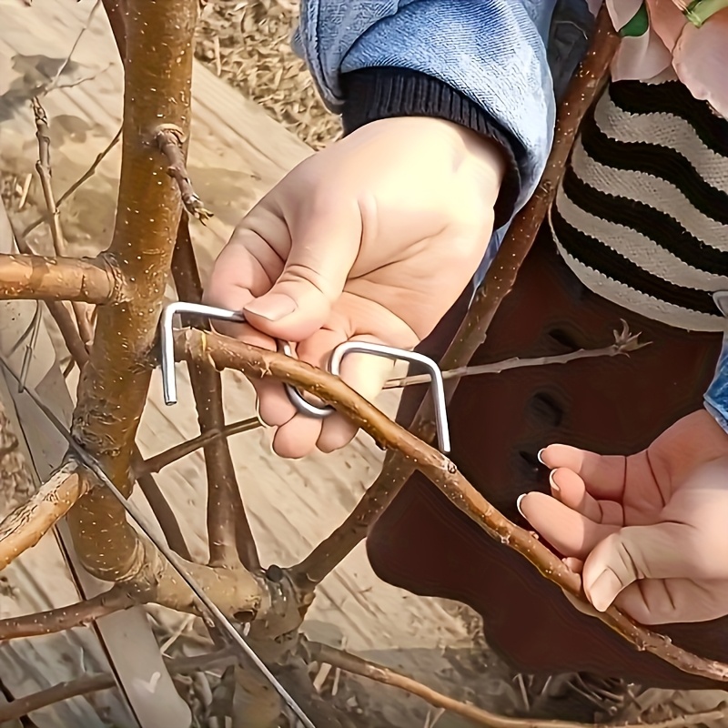 50pcsFruit Tree Branch Bender  - Concave Branch Cutter บทวิจารณ์และราคา