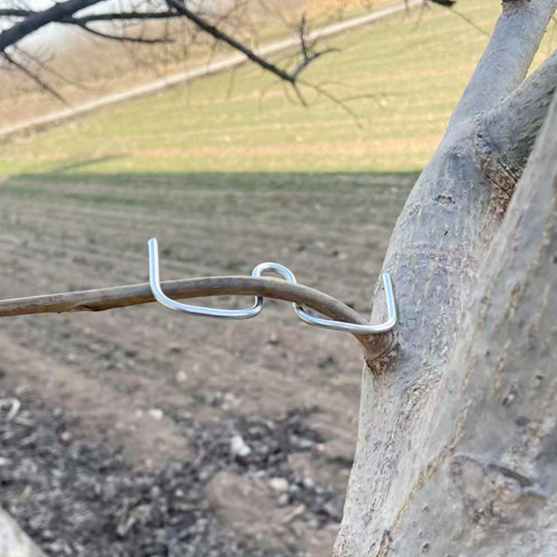 50pcsFruit Tree Branch Bender  - Concave Branch Cutter บทวิจารณ์และราคา
