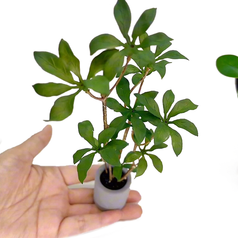1:6 Dollhouse Miniature Potted - Bonsai Garden For Home บทวิจารณ์และราคา