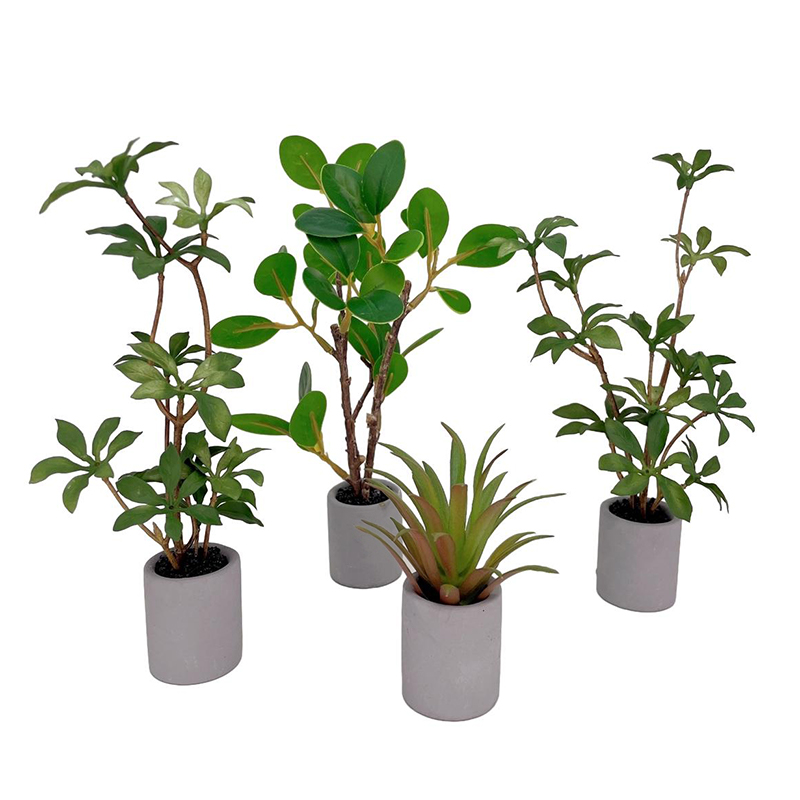 1:6 Dollhouse Miniature Potted - Bonsai Garden For Home บทวิจารณ์และราคา