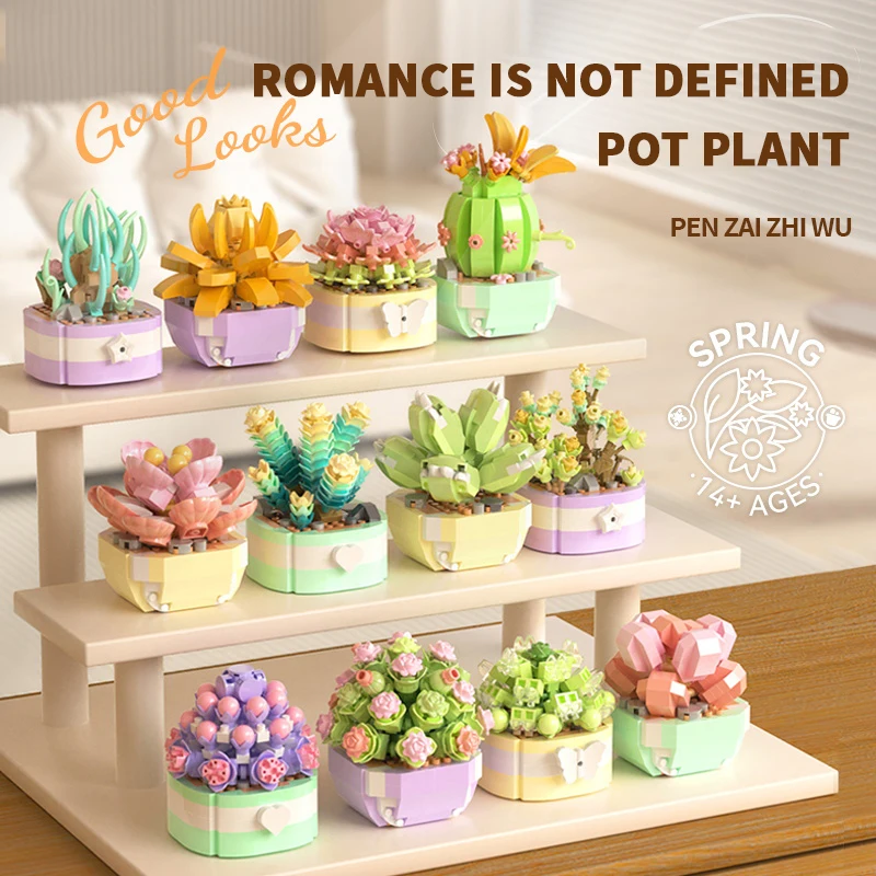 Flower Succulents Building Blo - Bonsai Garden Kit บทวิจารณ์และราคา