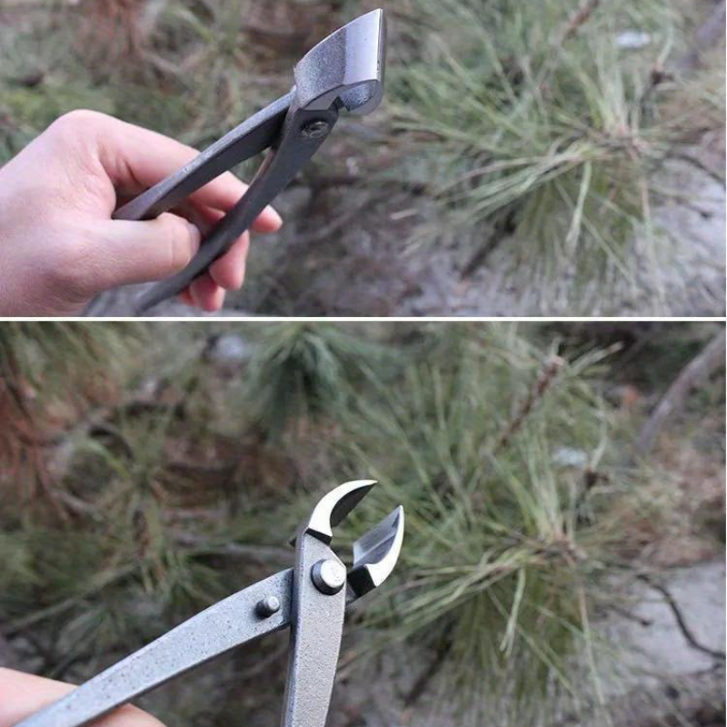 Bonsai Knob Cutter Concave Edg - Concave Branch Cutter บทวิจารณ์และราคา