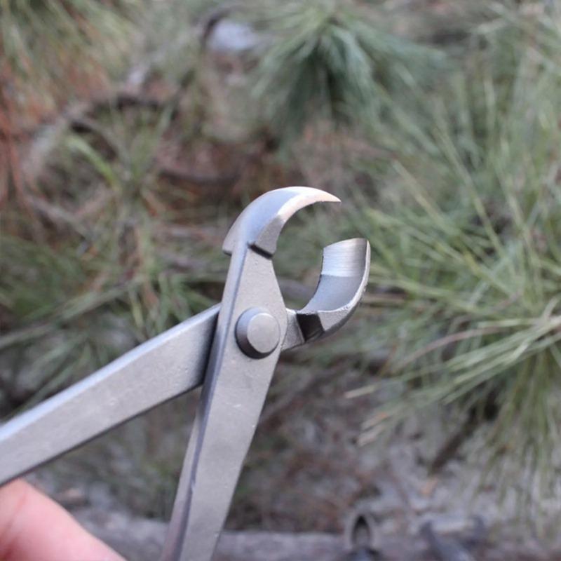 Bonsai Knob Cutter Concave Edg - Concave Branch Cutter บทวิจารณ์และราคา