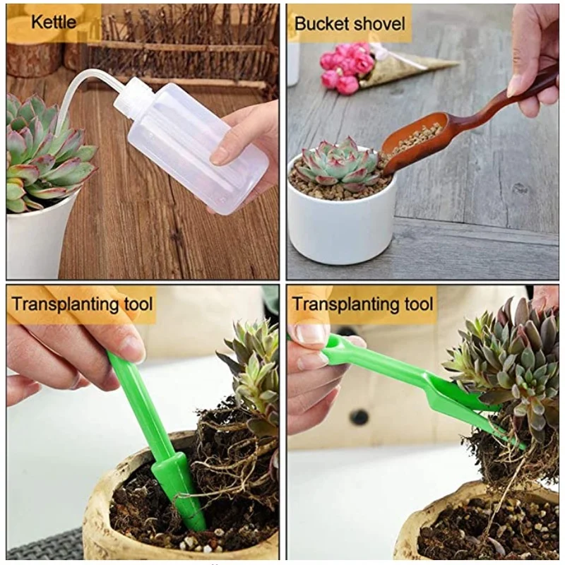 13Pcs Garden Planter Kit DIY S - Bonsai Garden Kit บทวิจารณ์และราคา