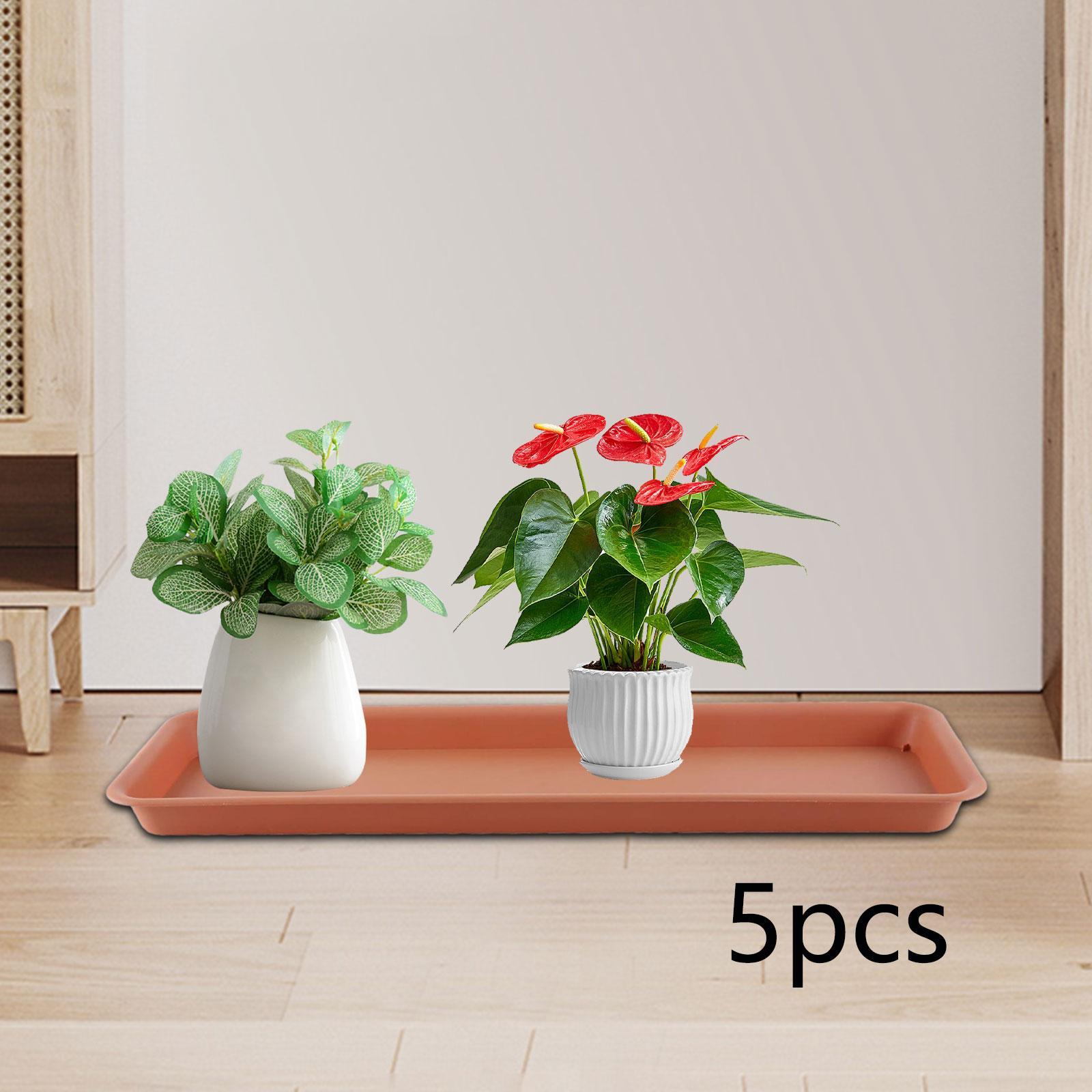 High Flower Pot for the Terrac - Drip Tray Saucer บทวิจารณ์และราคา