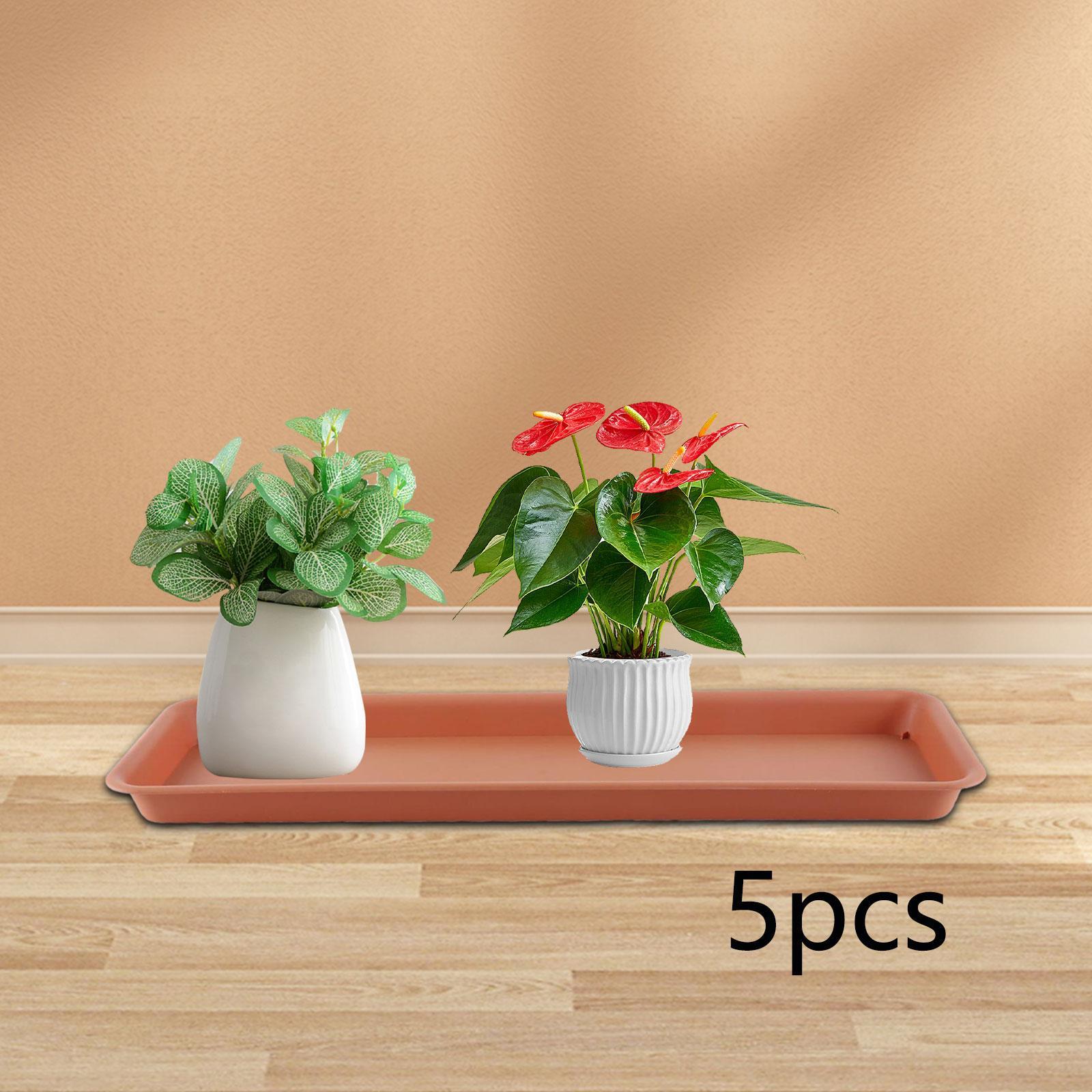 High Flower Pot for the Terrac - Drip Tray Saucer บทวิจารณ์และราคา