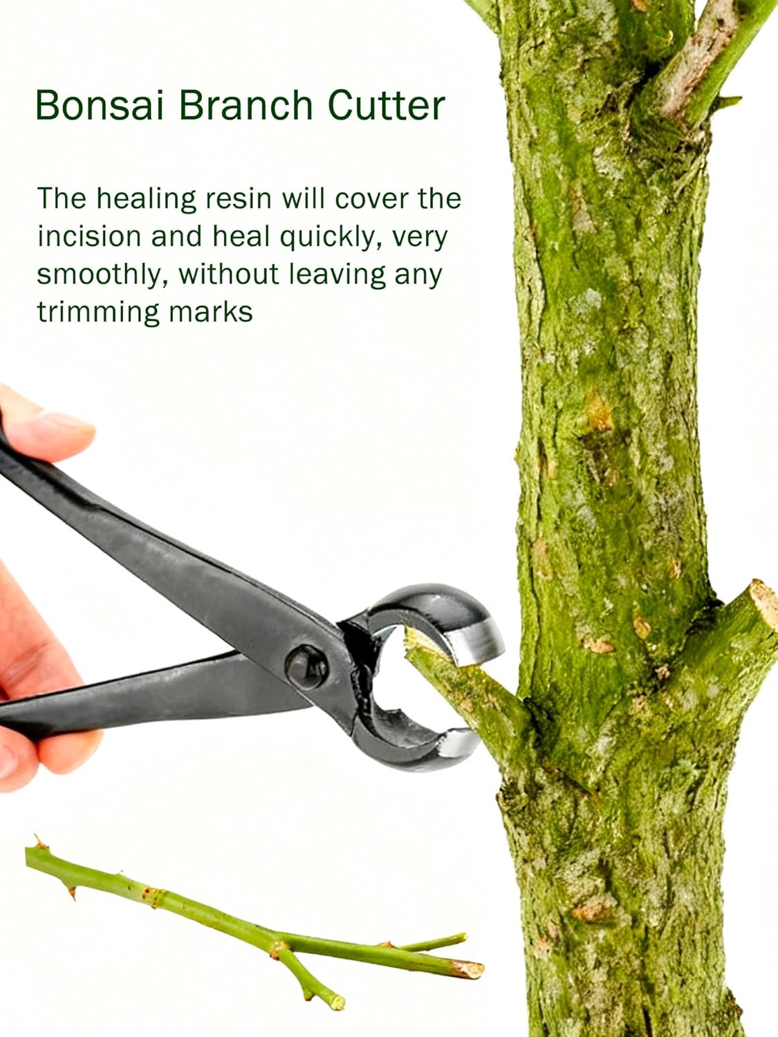 Bonsai Concave Cutter 8.4 Inch - Concave Branch Cutter บทวิจารณ์และราคา