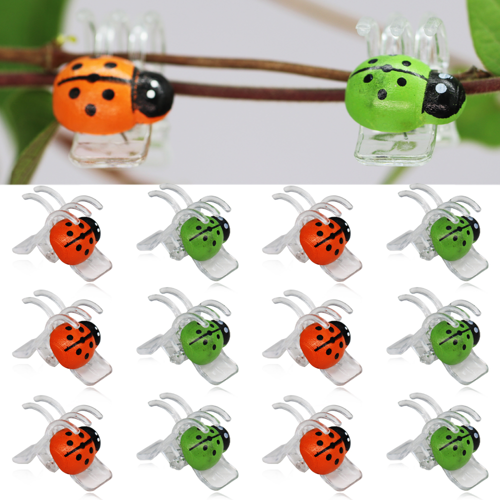 10-800PCS Ladybird Orchid Clip - Bonsai Garden For Home บทวิจารณ์และราคา