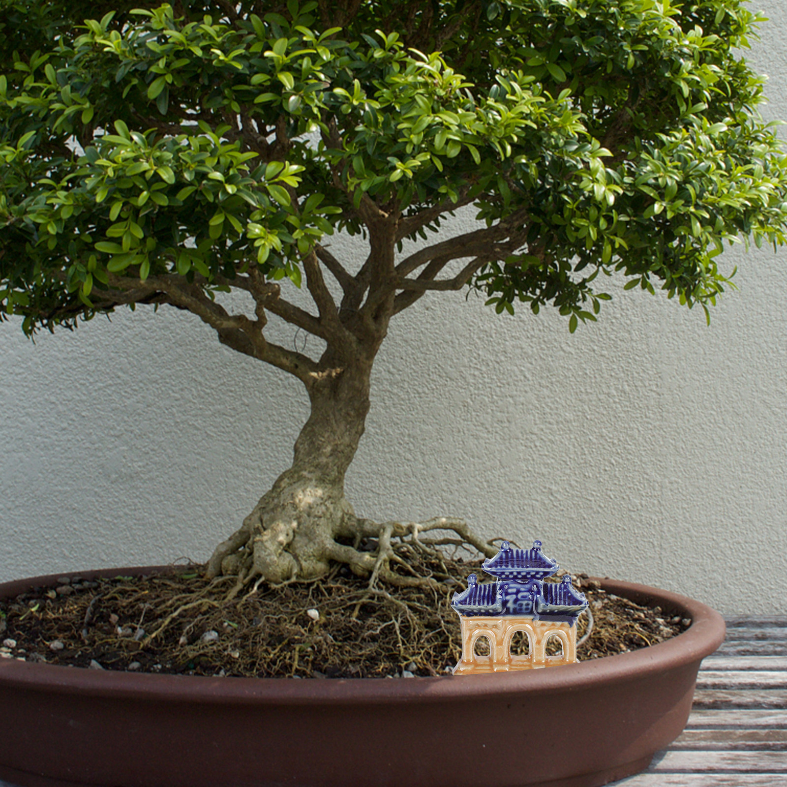 5Pcs Ceramic Pavilion Shape Or - Bonsai Garden For Home บทวิจารณ์และราคา