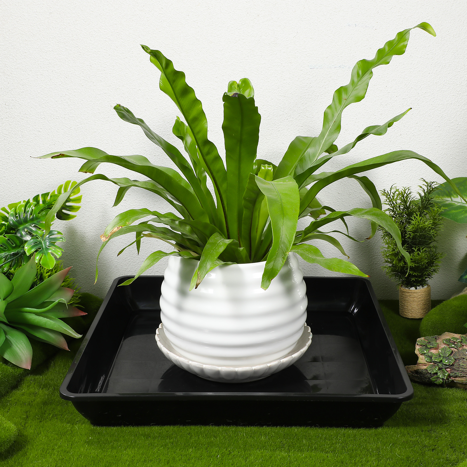 2pcs Flowerpot Saucer Plant Tr - Drip Tray Saucer บทวิจารณ์และราคา