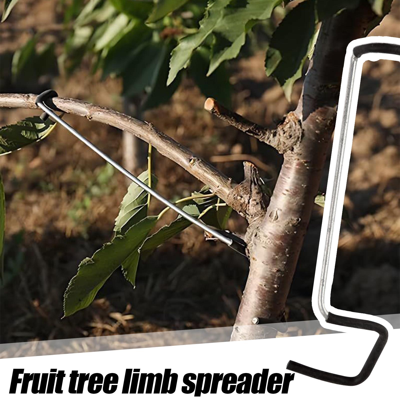Tree Branch Spreader 10X Tree  - Concave Branch Cutter บทวิจารณ์และราคา