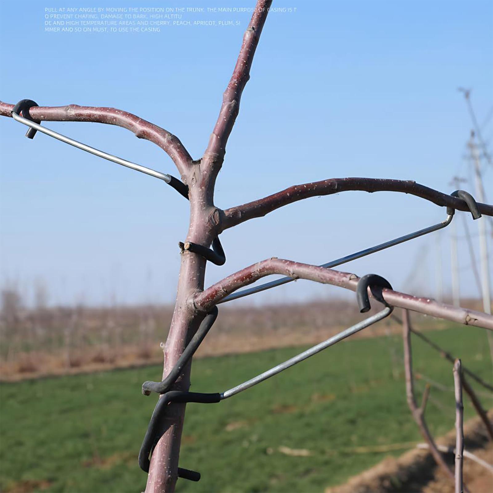 Tree Branch Spreader 10X Tree  - Concave Branch Cutter บทวิจารณ์และราคา