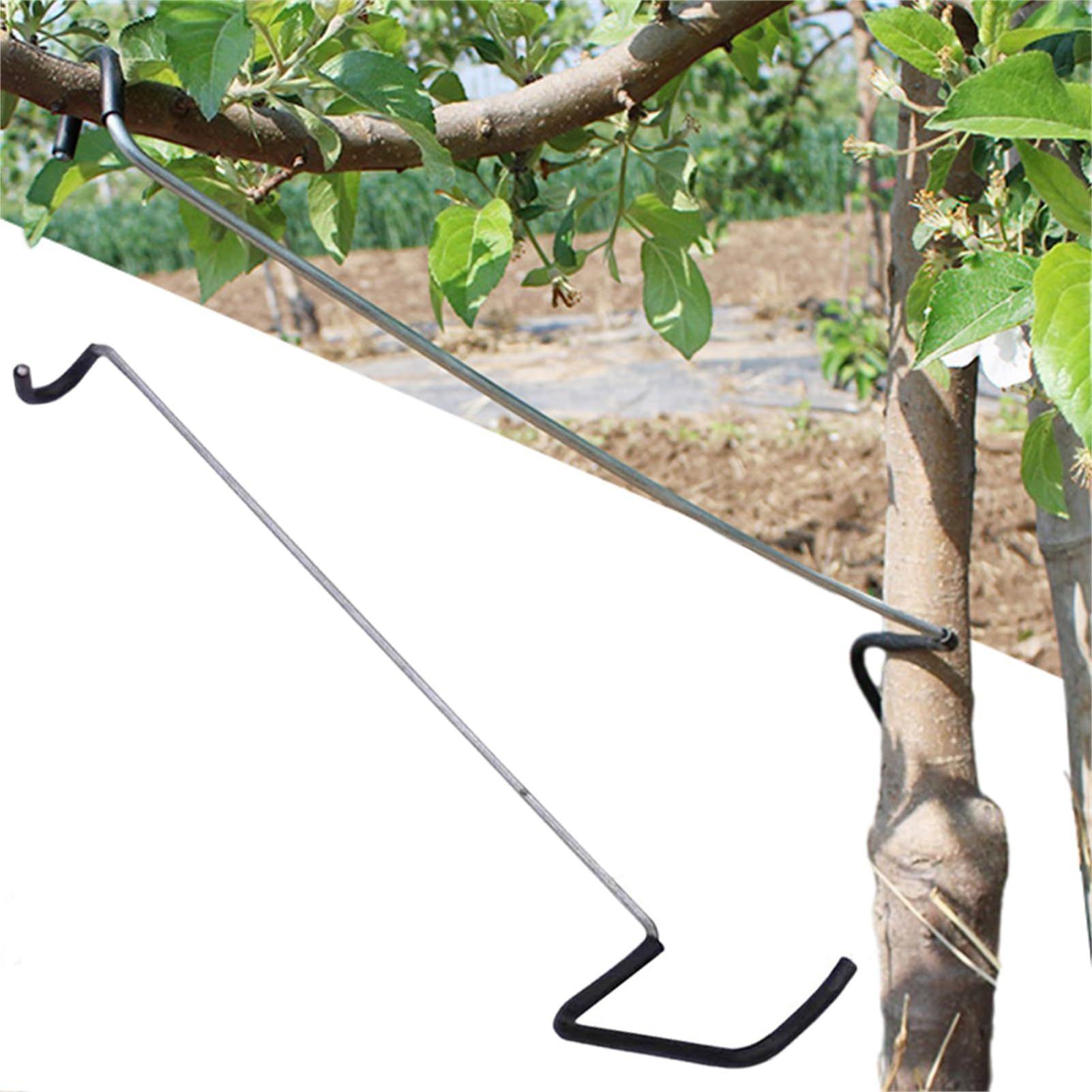 Tree Branch Spreader 10X Tree  - Concave Branch Cutter บทวิจารณ์และราคา