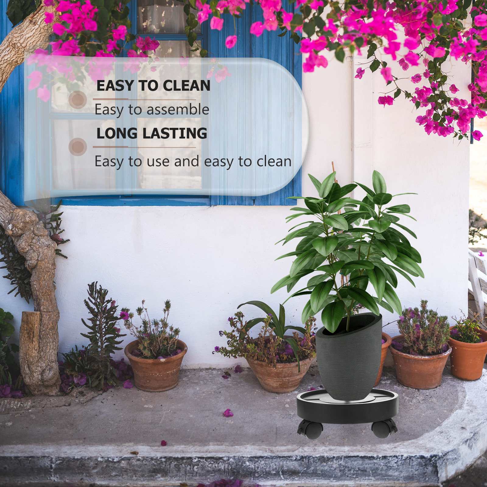 Automatic Water Absorption Bas - Bonsai Garden Plants บทวิจารณ์และราคา