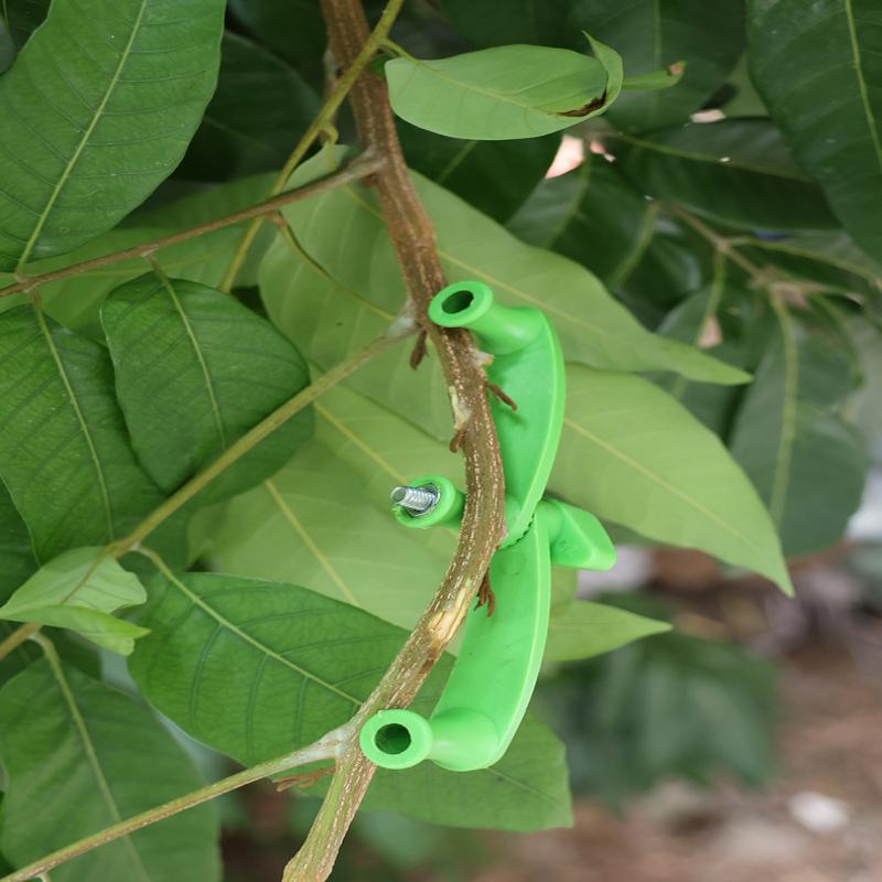5pcs/set Tree Bending Tool Thi - Concave Branch Cutter บทวิจารณ์และราคา