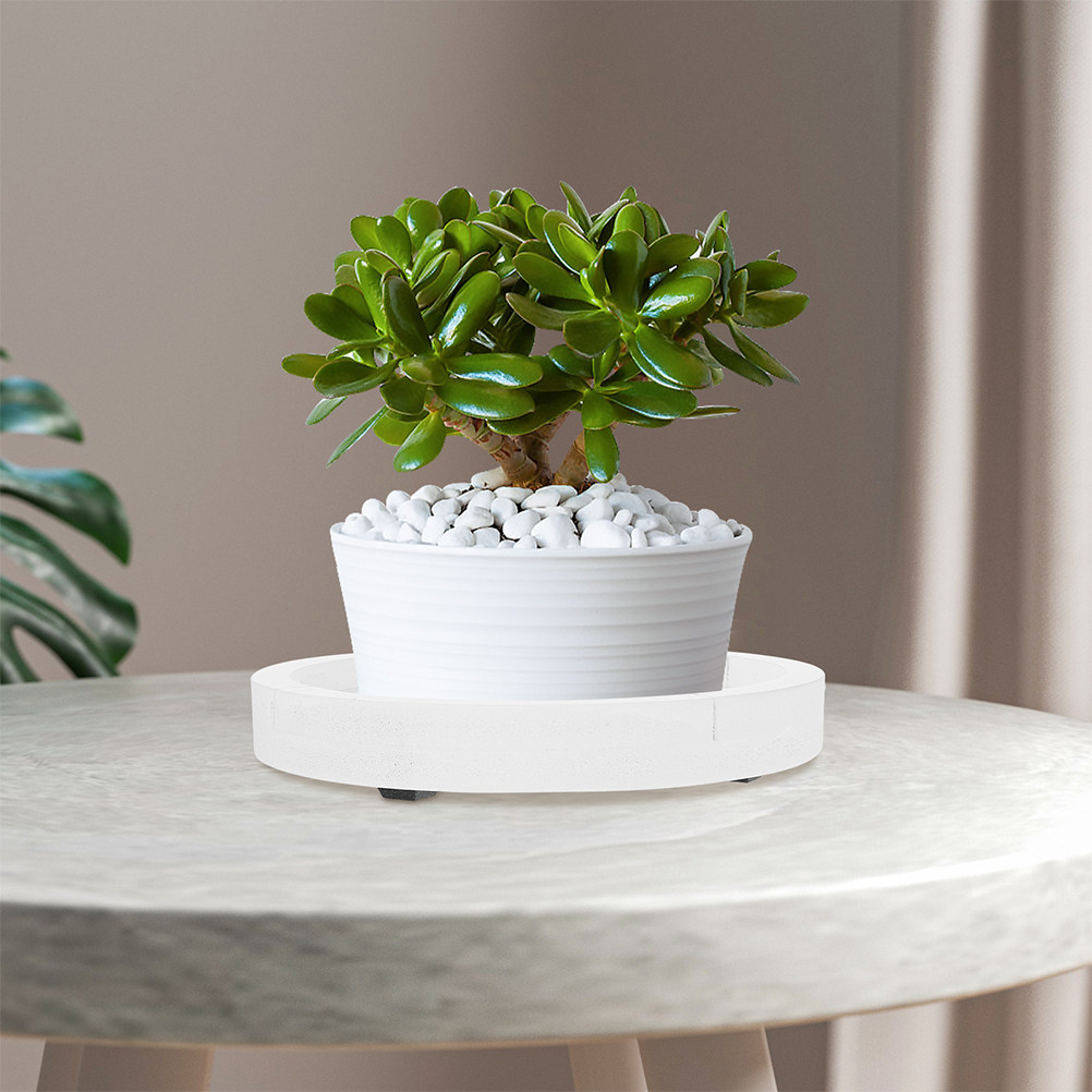 White Round Thick Cement-Like  - Humidity Tray Pebble บทวิจารณ์และราคา