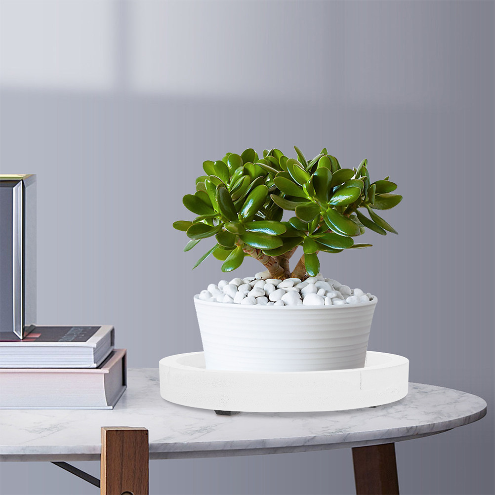 White Round Thick Cement-Like  - Humidity Tray Pebble บทวิจารณ์และราคา