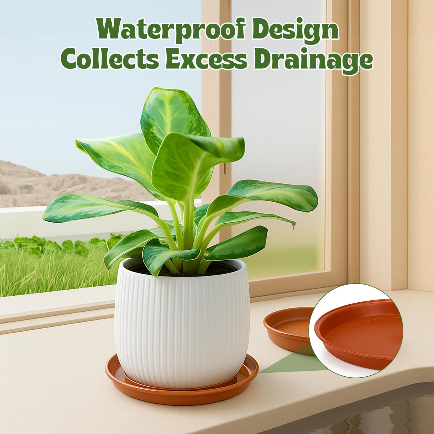 12 Pack Plant Pot Saucers – 4  - Drip Tray Saucer บทวิจารณ์และราคา
