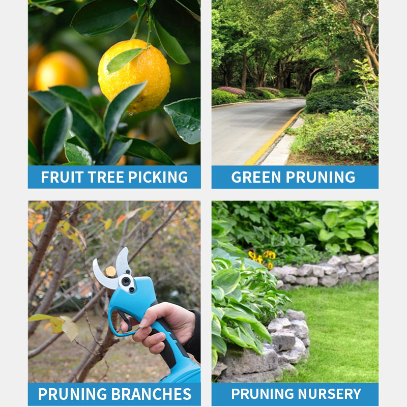 21V Cordless Lithium-ion Progr - Bonsai Garden In Dc บทวิจารณ์และราคา