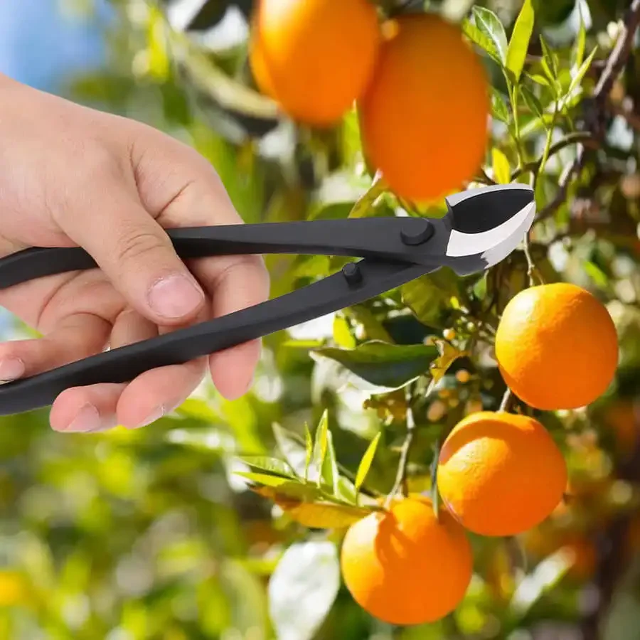 Hand Forged Bonsai Concave Bra - Concave Branch Cutter บทวิจารณ์และราคา