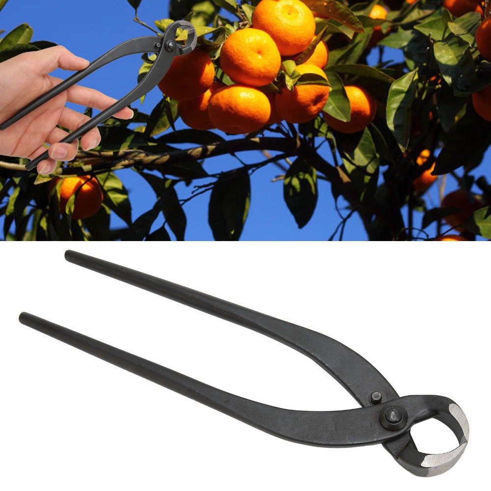 Manganese Steel Bonsai Branch  - Concave Branch Cutter บทวิจารณ์และราคา
