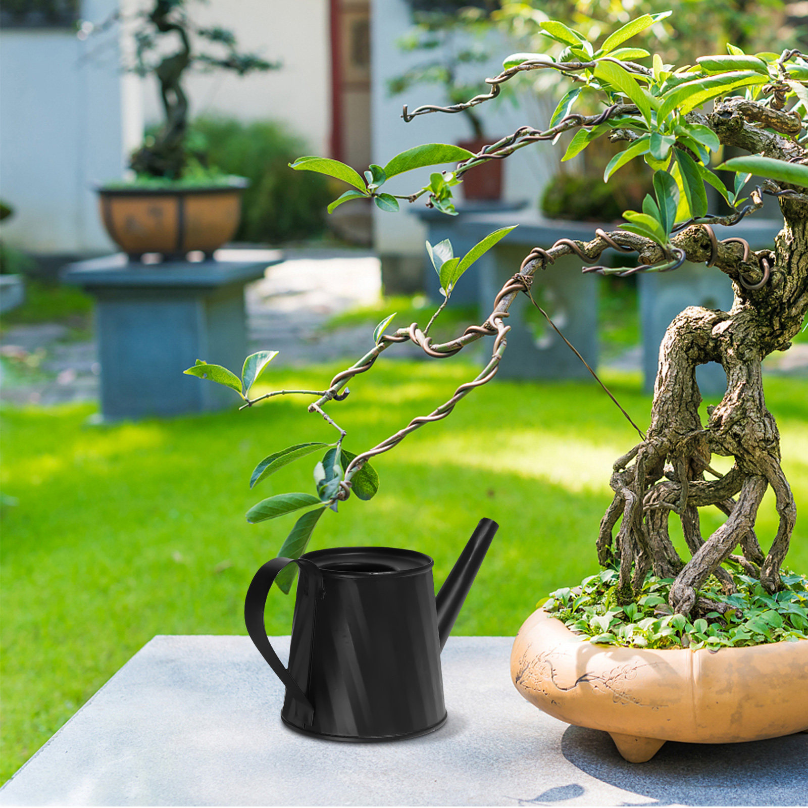 Mini Watering Can for Indoor P - Bonsai Garden Plants บทวิจารณ์และราคา