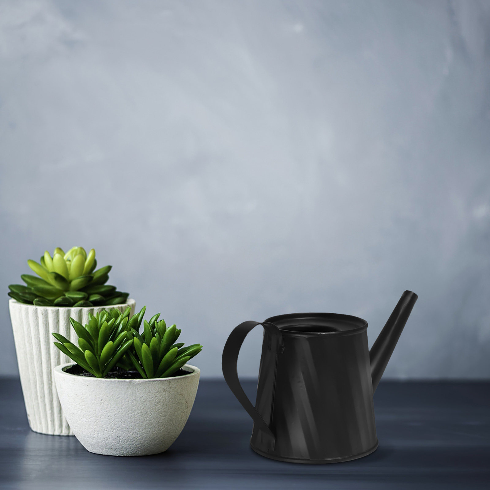 Mini Watering Can for Indoor P - Bonsai Garden Plants บทวิจารณ์และราคา