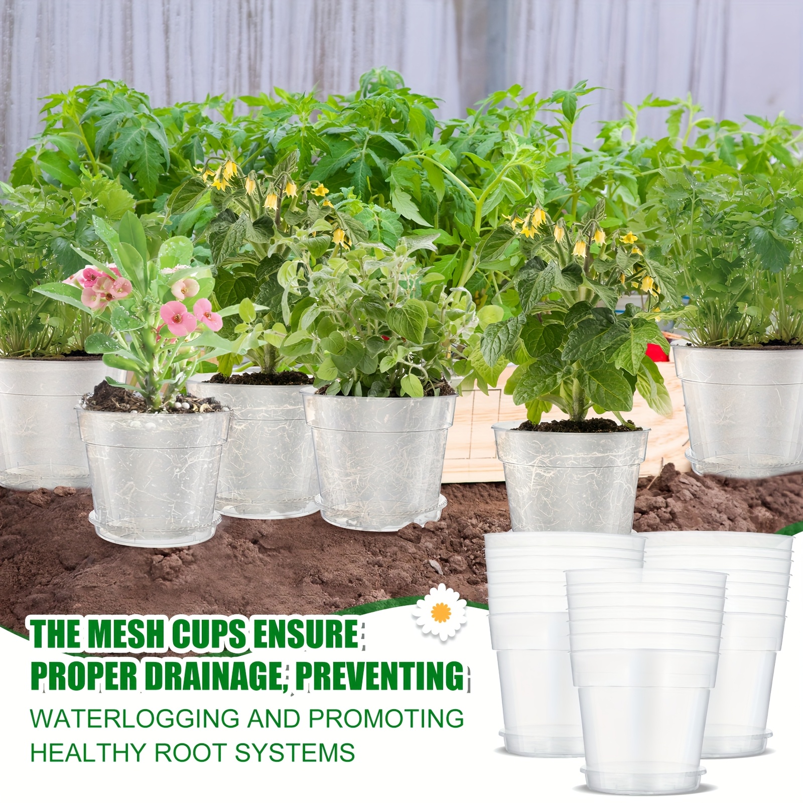 10pcs 9 Inch Clear Nursery Pot - Drip Tray Saucer บทวิจารณ์และราคา