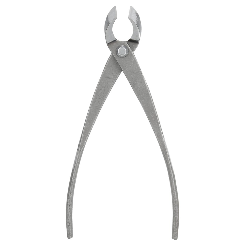 Stainless Steel Bonsai Branch  - Concave Branch Cutter บทวิจารณ์และราคา