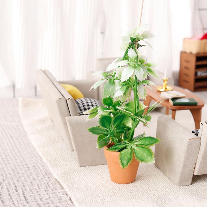 1/12 Dollhouse Simulation Gree - Bonsai Garden Plants บทวิจารณ์และราคา