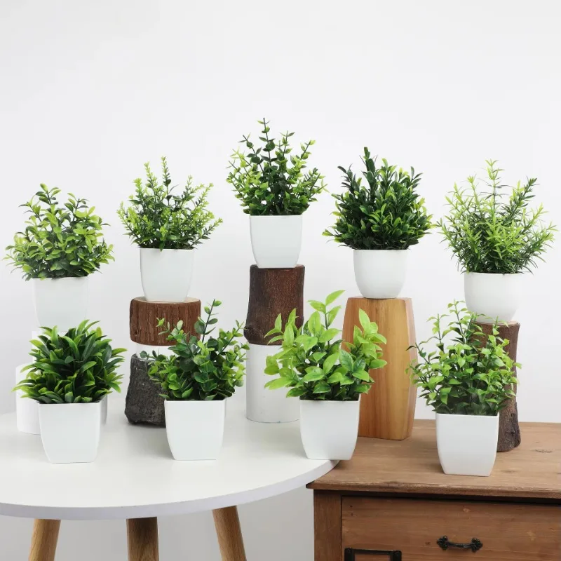 Wholesale OEM/ODM Artificial M - Bonsai Garden Kit บทวิจารณ์และราคา