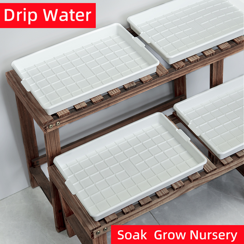 Meshpot Square Plastic Basin T - Drip Tray Saucer บทวิจารณ์และราคา
