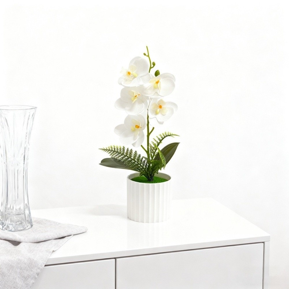 Multi-Bloom Simulated Butterfl - Bonsai Garden Kit บทวิจารณ์และราคา