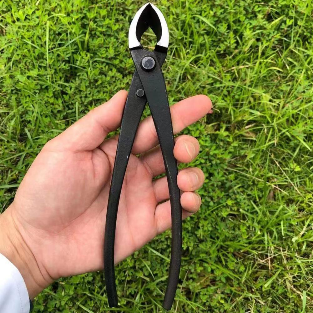 Bonsai Concave Branch Cutter M - Concave Branch Cutter บทวิจารณ์และราคา