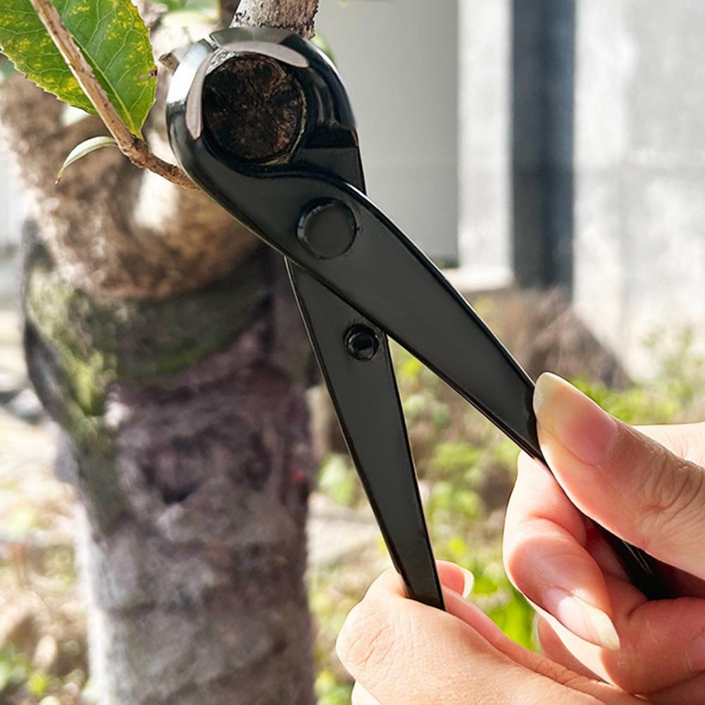 Bonsai Concave Branch Cutter M - Concave Branch Cutter บทวิจารณ์และราคา