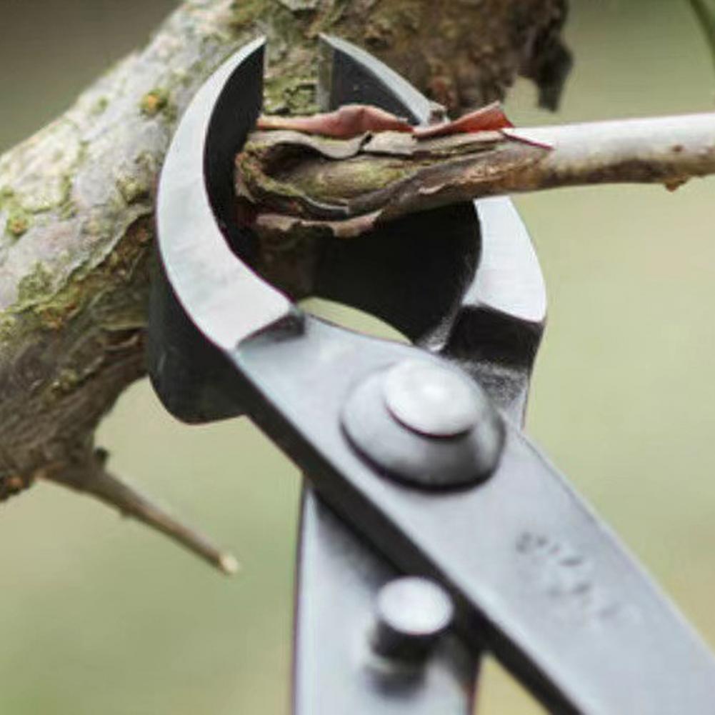 Bonsai Concave Branch Cutter M - Concave Branch Cutter บทวิจารณ์และราคา