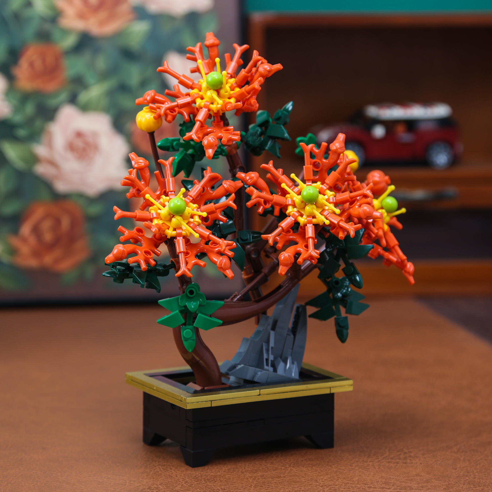 Dragon Claw Chrysanthemum Bons - Bonsai Garden Kit บทวิจารณ์และราคา