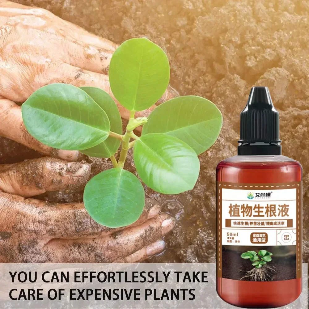 1Pcs Fast Rooting Stimulator P - Bonsai Soil Akadama บทวิจารณ์และราคา