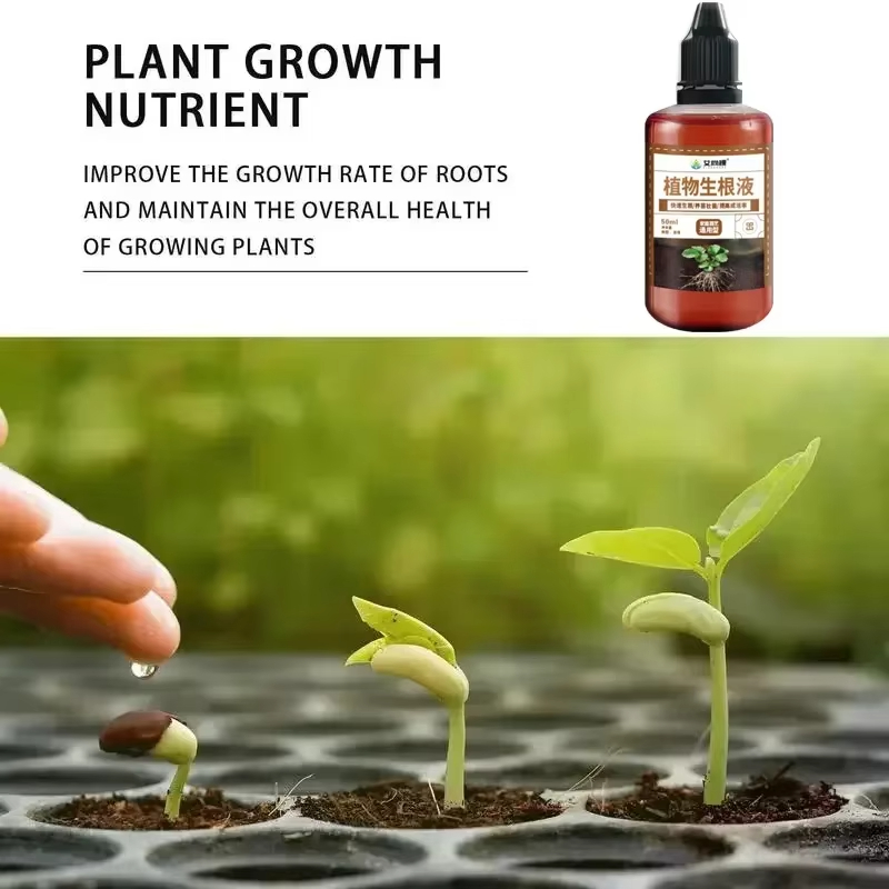 1Pcs Fast Rooting Stimulator P - Bonsai Soil Akadama บทวิจารณ์และราคา