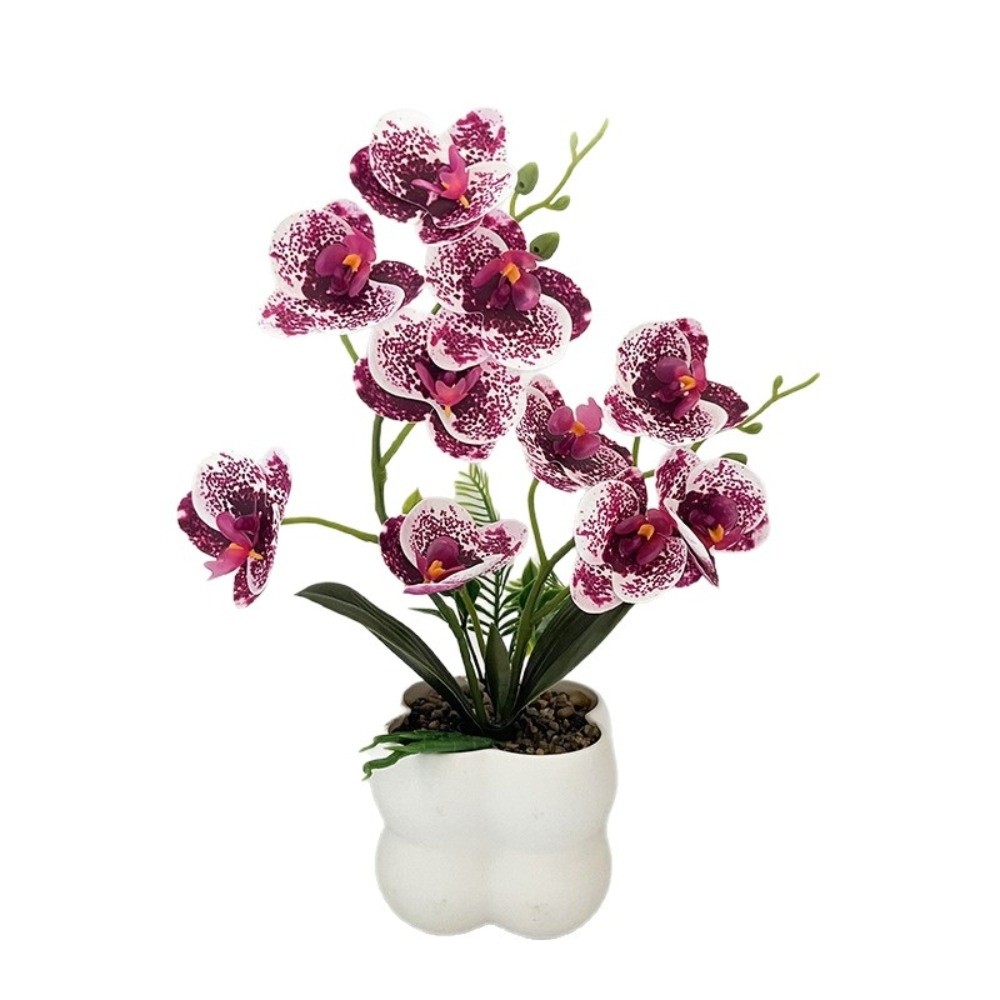 Multi-Bloom Simulated Butterfl - Bonsai Garden Kit บทวิจารณ์และราคา