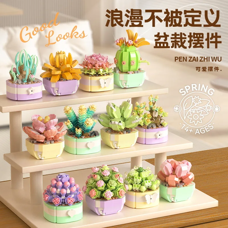 Flower Succulents Building Blo - Bonsai Garden Kit บทวิจารณ์และราคา