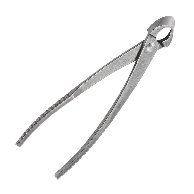 GYTB-Bonsai Concave Branch Cut - Concave Branch Cutter บทวิจารณ์และราคา
