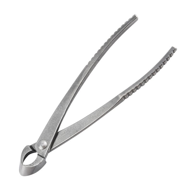 GYTB-Bonsai Concave Branch Cut - Concave Branch Cutter บทวิจารณ์และราคา