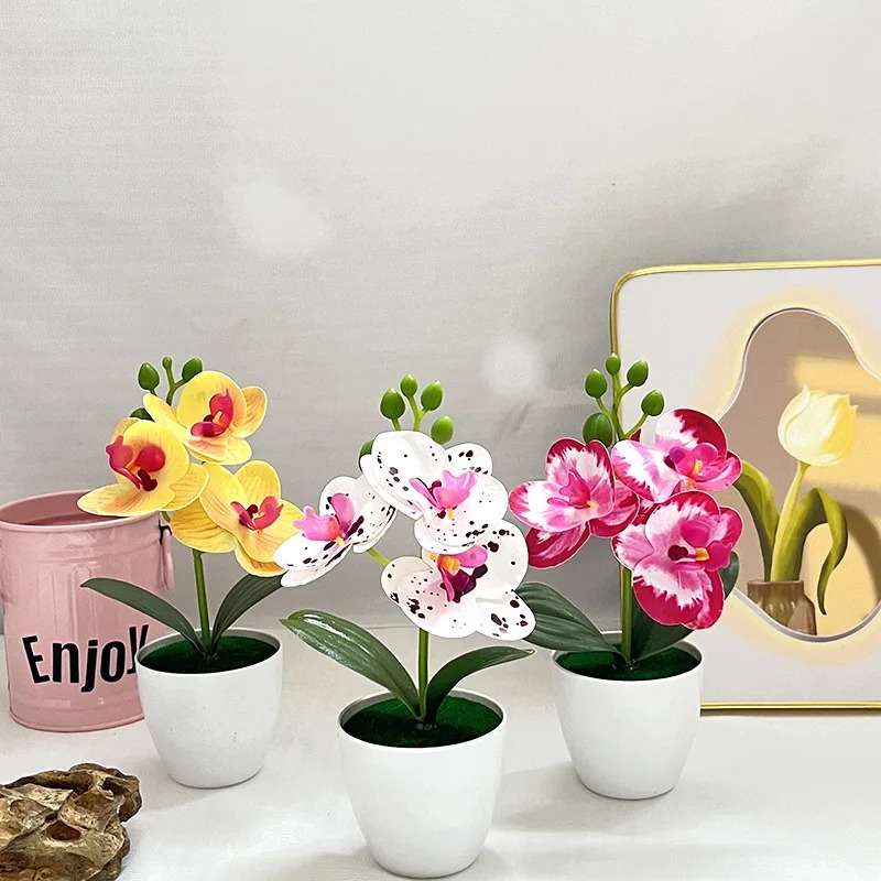1Pcs 20CM Simulation Plants Po - Bonsai Garden Kit บทวิจารณ์และราคา