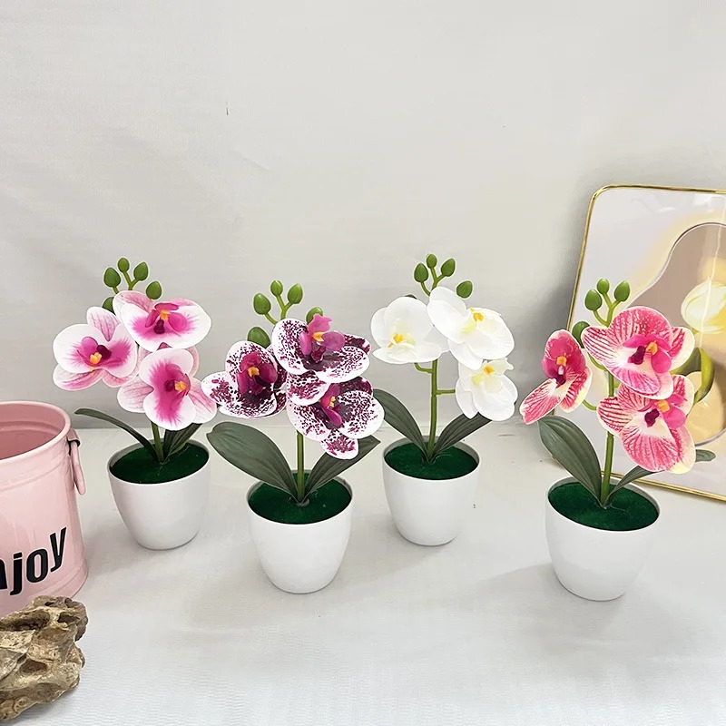 1Pcs 20CM Simulation Plants Po - Bonsai Garden Kit บทวิจารณ์และราคา