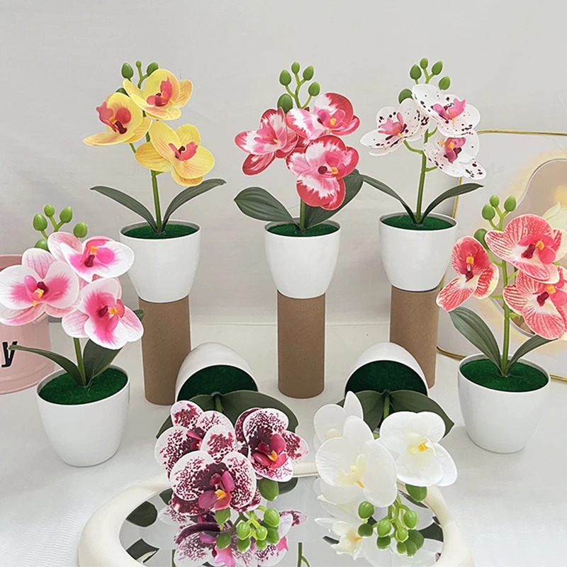 1Pcs 20CM Simulation Plants Po - Bonsai Garden Kit บทวิจารณ์และราคา