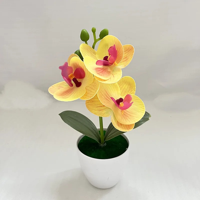 1Pcs 20CM Simulation Plants Po - Bonsai Garden Kit บทวิจารณ์และราคา